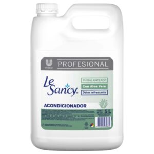 Le sancy
